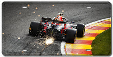 Load image into Gallery viewer, Formula F1 Decorative License Plate FREE Shipping Worldwide!!