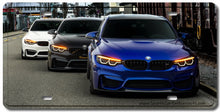 Load image into Gallery viewer, BMW M Decorative License Plate FREE Shipping Worldwide!!